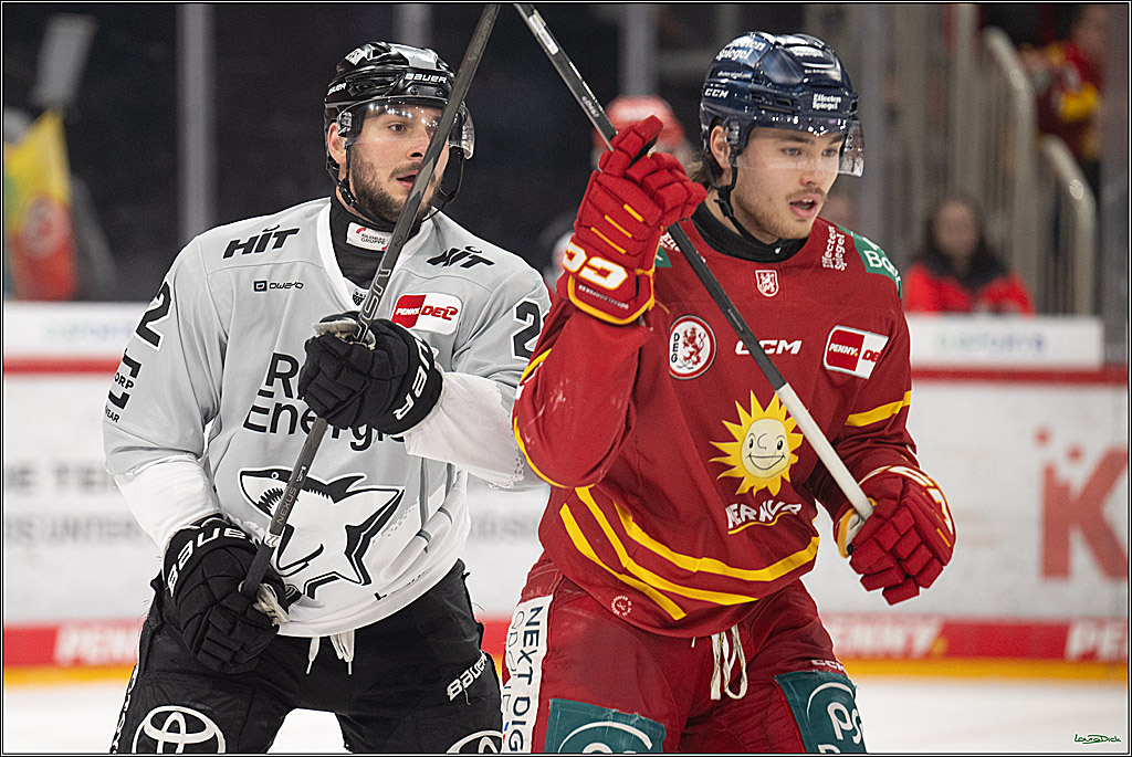 PENNY DEL; Duesseldorfer EG- Koelner Haie; Duesseldorf, 24.01.2025